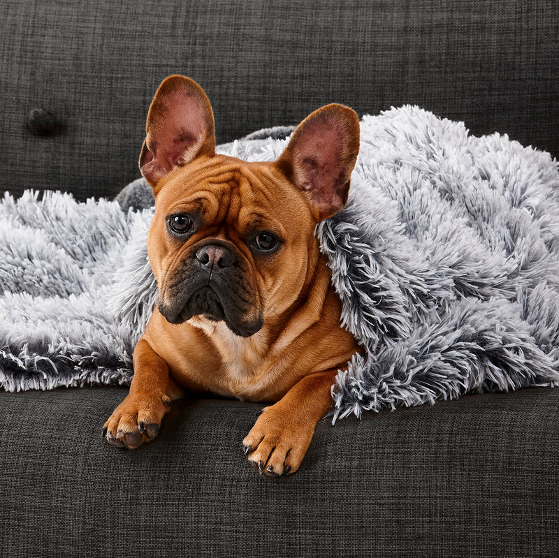 Dog Calming Blanket